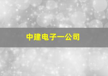 中建电子一公司