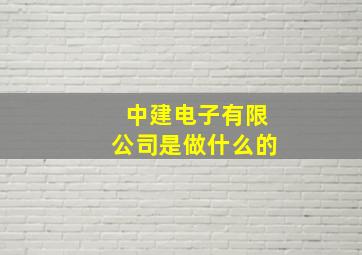 中建电子有限公司是做什么的