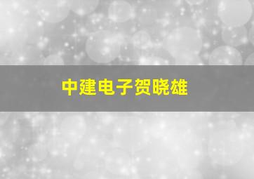 中建电子贺晓雄