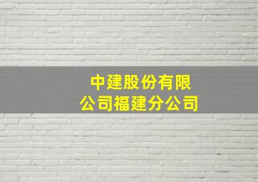 中建股份有限公司福建分公司