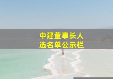 中建董事长人选名单公示栏