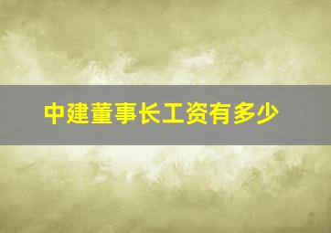 中建董事长工资有多少