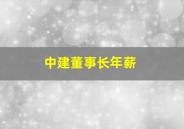 中建董事长年薪