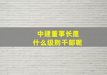 中建董事长是什么级别干部呢