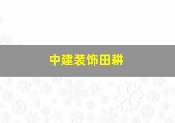 中建装饰田耕