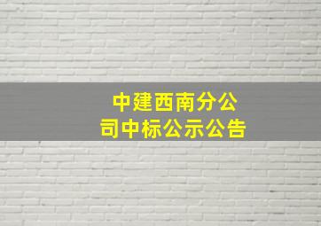 中建西南分公司中标公示公告