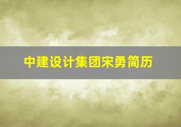 中建设计集团宋勇简历