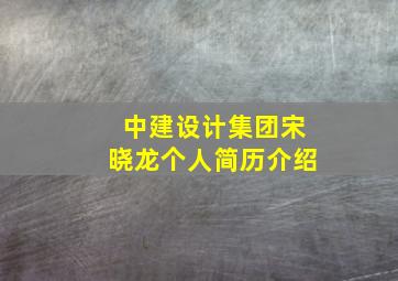 中建设计集团宋晓龙个人简历介绍