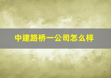 中建路桥一公司怎么样