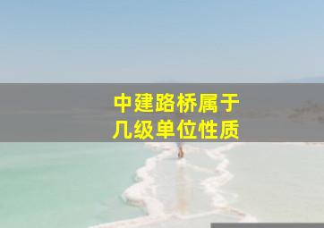 中建路桥属于几级单位性质