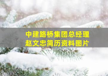 中建路桥集团总经理赵文忠简历资料图片