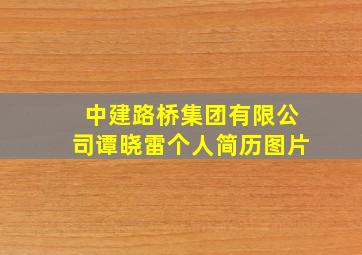 中建路桥集团有限公司谭晓雷个人简历图片