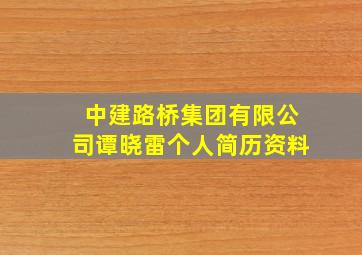 中建路桥集团有限公司谭晓雷个人简历资料