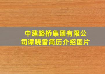 中建路桥集团有限公司谭晓雷简历介绍图片