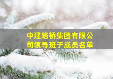 中建路桥集团有限公司领导班子成员名单