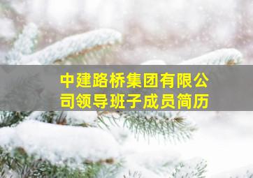 中建路桥集团有限公司领导班子成员简历