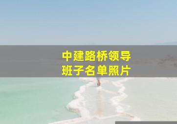 中建路桥领导班子名单照片