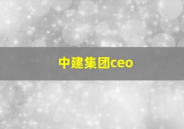 中建集团ceo