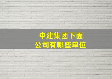 中建集团下面公司有哪些单位