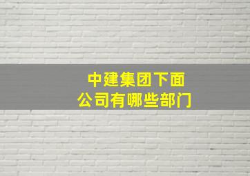 中建集团下面公司有哪些部门