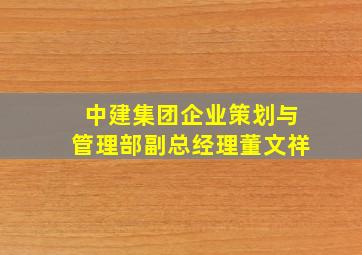 中建集团企业策划与管理部副总经理董文祥