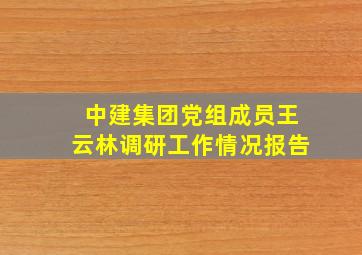 中建集团党组成员王云林调研工作情况报告