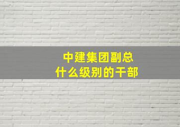 中建集团副总什么级别的干部