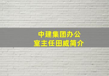 中建集团办公室主任田威简介