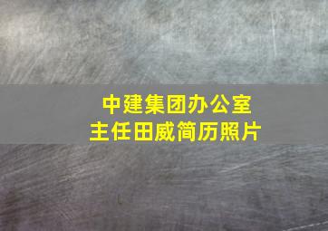 中建集团办公室主任田威简历照片