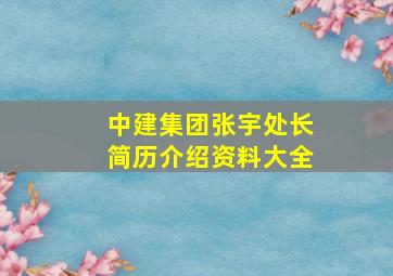 中建集团张宇处长简历介绍资料大全