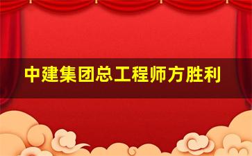 中建集团总工程师方胜利