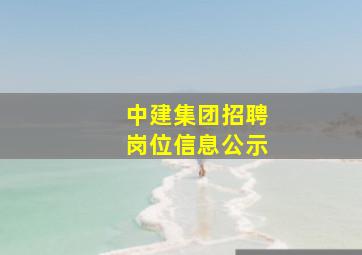 中建集团招聘岗位信息公示