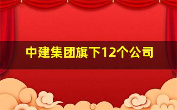 中建集团旗下12个公司