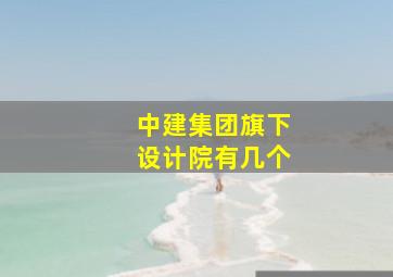 中建集团旗下设计院有几个