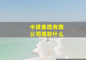 中建集团有限公司简称什么