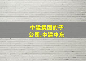 中建集团的子公司,中建中东