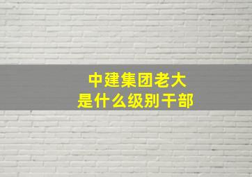 中建集团老大是什么级别干部