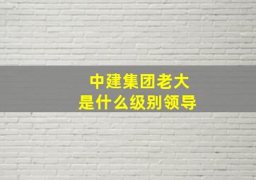 中建集团老大是什么级别领导