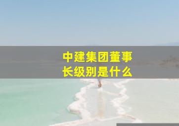 中建集团董事长级别是什么