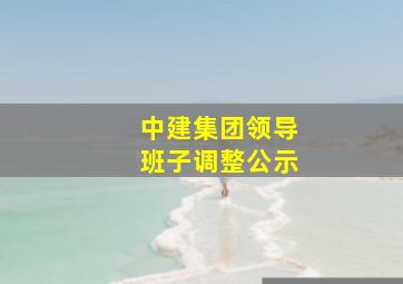 中建集团领导班子调整公示