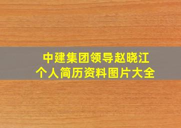 中建集团领导赵晓江个人简历资料图片大全