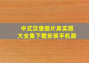 中式汉堡图片真实图大全集下载安装手机版