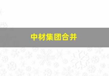 中材集团合并