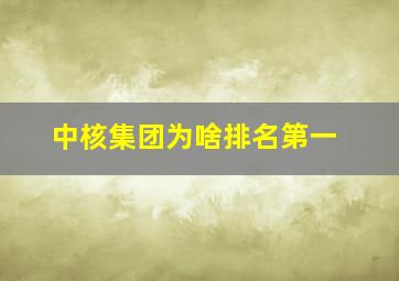 中核集团为啥排名第一