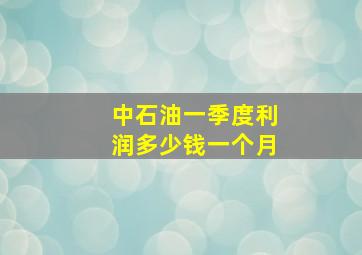 中石油一季度利润多少钱一个月