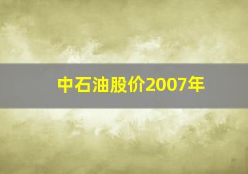 中石油股价2007年