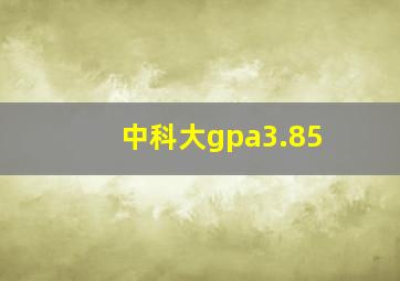 中科大gpa3.85