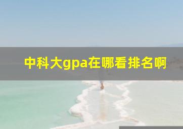 中科大gpa在哪看排名啊