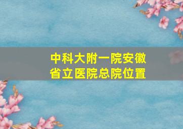 中科大附一院安徽省立医院总院位置