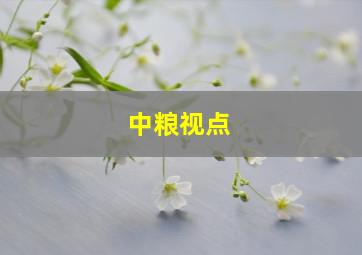 中粮视点